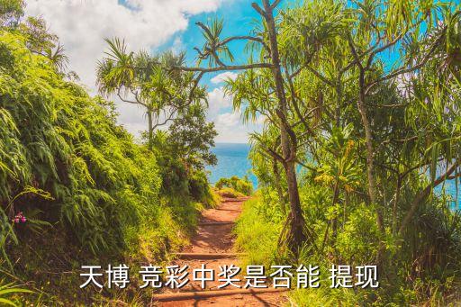 足球競(jìng)彩app哪個(gè)提現(xiàn)快,足球俱樂(lè)部提現(xiàn)需要現(xiàn)金嗎?答案!