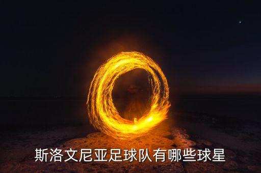 斯洛文尼亞足球隊(duì)有哪些球星