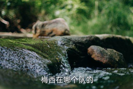 梅西哪個隊(duì)的,梅西第六次獲得金球獎