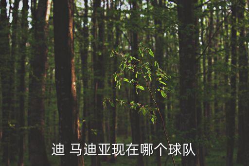 迪 馬迪亞現(xiàn)在哪個(gè)球隊(duì)