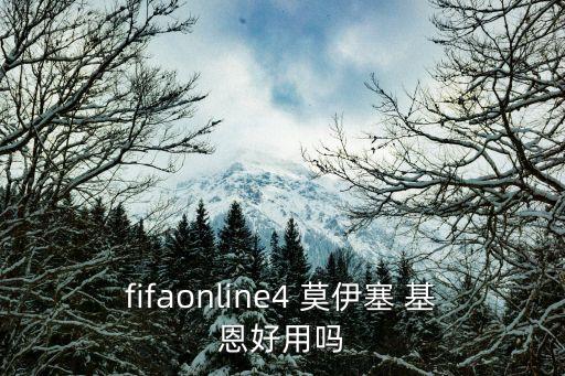 莫伊塞 基恩哪個國家的,曼聯(lián)鐵血隊長roy基恩成為球隊噩夢