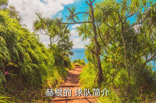 赫根的 球隊(duì)簡(jiǎn)介