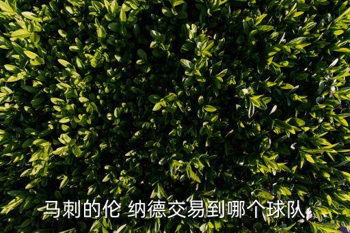 馬刺的倫 納德交易到哪個球隊