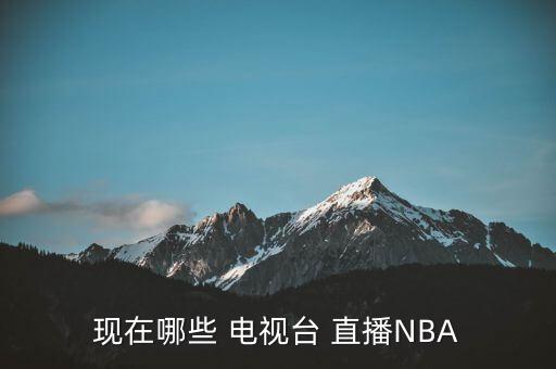 現(xiàn)在哪些 電視臺(tái) 直播NBA