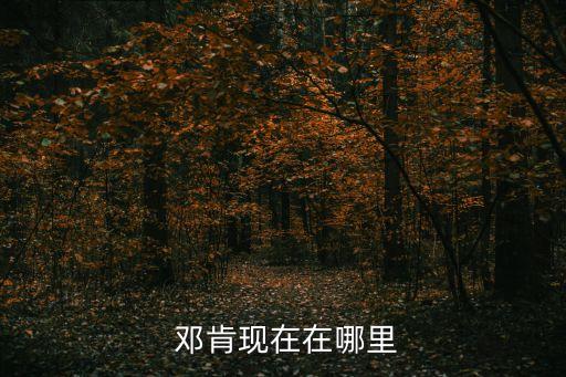  鄧肯現(xiàn)在在哪里
