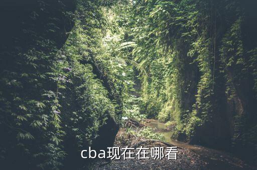 cba直播手機(jī)哪個能看到,第一集:總決賽直播