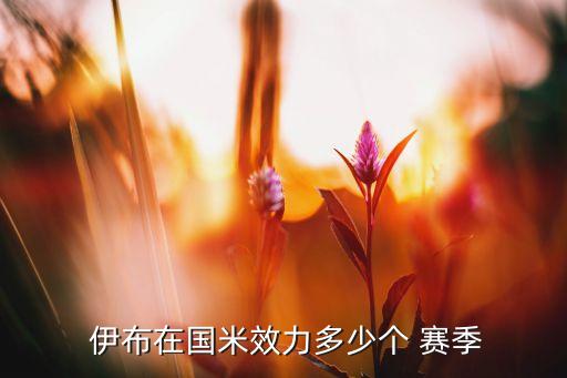  伊布在國米效力多少個(gè) 賽季