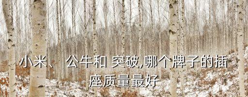 小米、 公牛和 突破,哪個牌子的插座質量最好