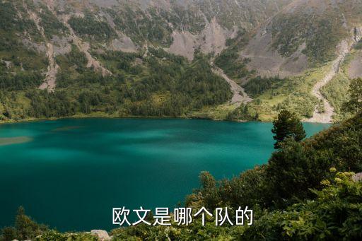 凱里歐文現(xiàn)在在哪個(gè)隊(duì),雙重國(guó)籍球員