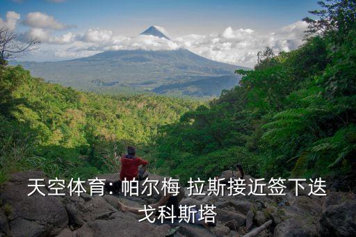 帕爾梅拉斯在哪個(gè)城市,科斯塔從小就支持巴西前鋒回國(guó)踢球