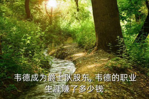  韋德成為爵士隊股東, 韋德的職業(yè)生涯賺了多少錢