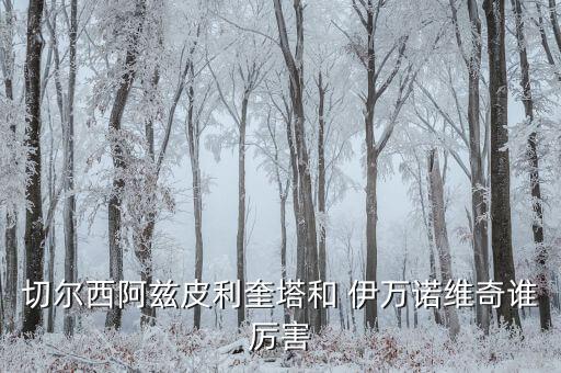 伊萬諾維奇在哪個(gè)俱樂部,阿茲皮里奎塔出征南非世界杯隊(duì)長