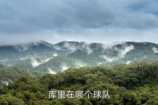  庫里在哪個球隊