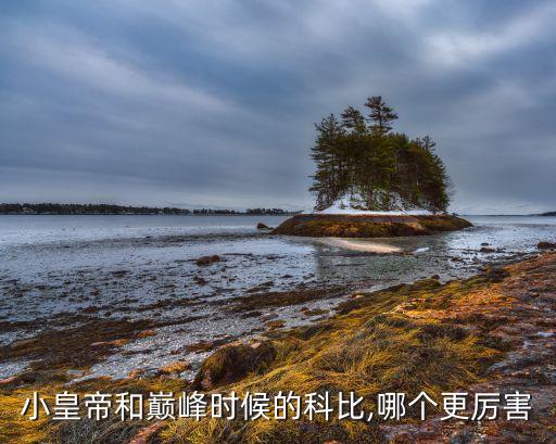 lj哪個球星,我認為保羅比納什更適合成為nba球星