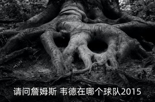請問詹姆斯 韋德在哪個球隊(duì)2015