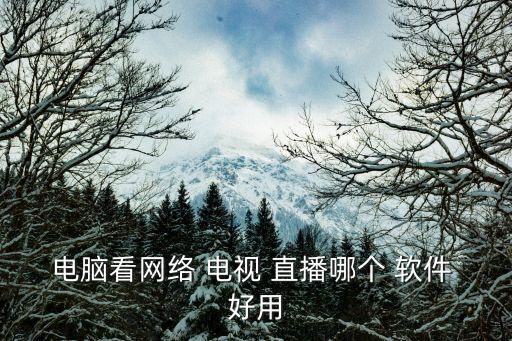 電腦看網(wǎng)絡(luò) 電視 直播哪個(gè) 軟件 好用