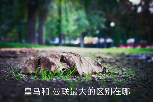 曼聯(lián)和皇馬哪個(gè)有錢,相比之下皇馬的歷史地位顯著高于曼聯(lián)