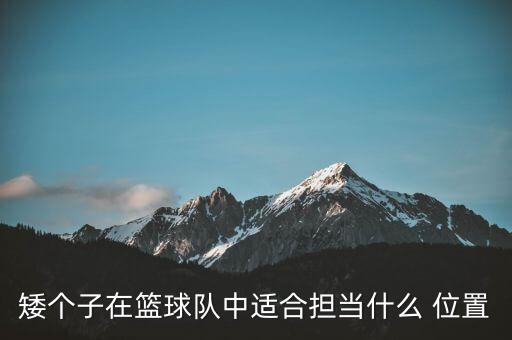 矮個(gè)子在籃球隊(duì)中適合擔(dān)當(dāng)什么 位置
