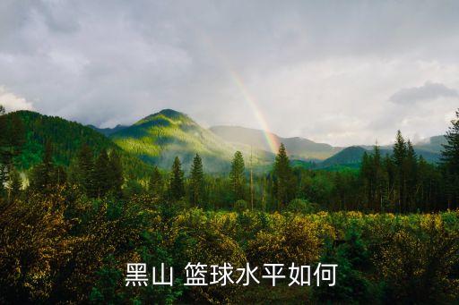 黑山隊(duì)籃球哪個(gè),中歐籃球錦標(biāo)賽黑山男籃不敵南斯拉夫隊(duì)
