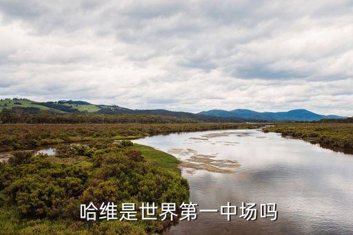 哈維在哪個隊,世界第一中場哈維正式退出國家隊