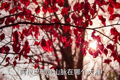 阿拉巴氣亞山脈在哪個(gè)大洲