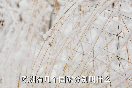 歐洲有幾個(gè)國(guó)家分別叫什么