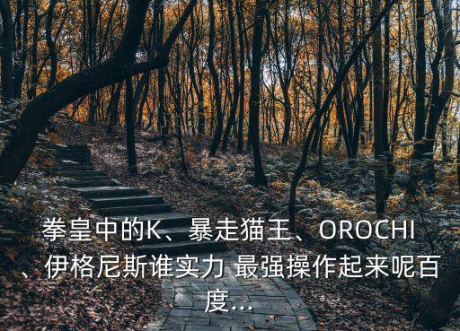 拳皇中的K、暴走貓王、OROCHI、伊格尼斯誰(shuí)實(shí)力 最強(qiáng)操作起來(lái)呢百度...