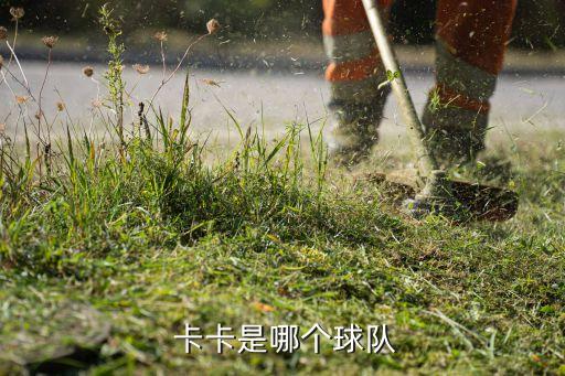 卡卡哪個賽季,卡卡從巴西到意甲聯(lián)賽小組出場