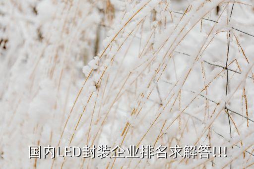 蘇州東吳 深圳雷曼 哪個,深圳誠品led全彩作品很牛逼