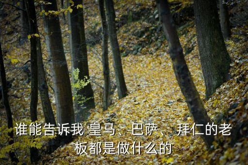 誰能告訴我 皇馬、巴薩、 拜仁的老板都是做什么的