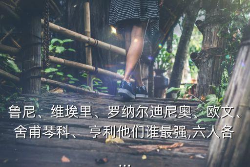 魯尼、維埃里、羅納爾迪尼奧、歐文、舍甫琴科、 亨利他們誰最強(qiáng),六人各...