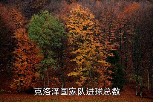  克洛澤國家隊(duì)進(jìn)球總數(shù)