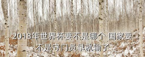 2018年世界杯要不是哪個(gè) 國(guó)家要不是守門員早就輸了