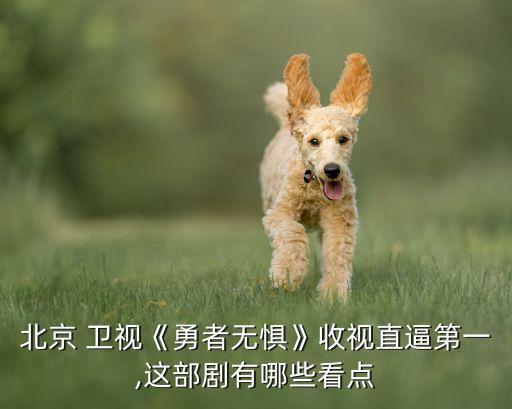 北京 衛(wèi)視《勇者無懼》收視直逼第一,這部劇有哪些看點