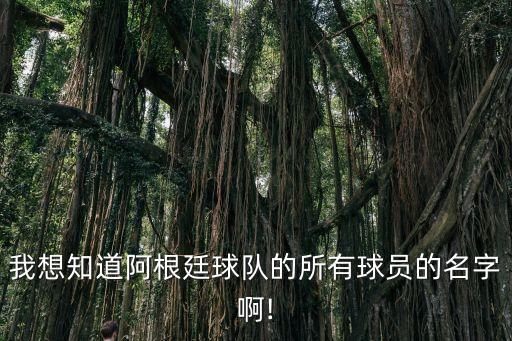 我想知道阿根廷球隊(duì)的所有球員的名字啊!