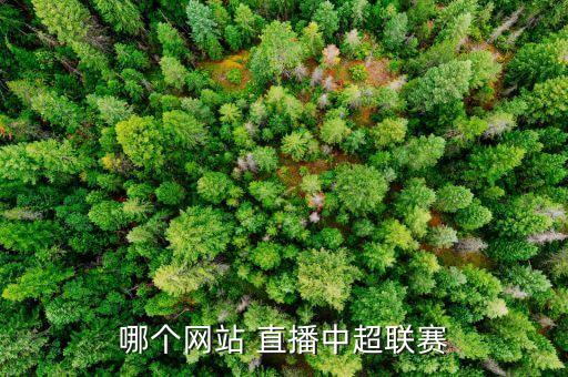 哪個網(wǎng)站 直播中超聯(lián)賽