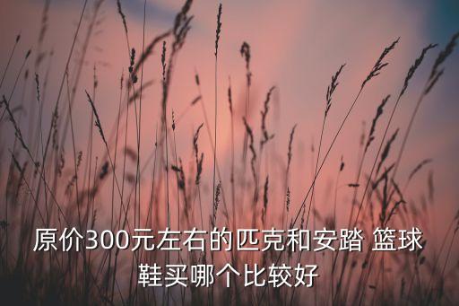 原價(jià)300元左右的匹克和安踏 籃球鞋買哪個(gè)比較好
