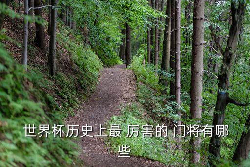 世界杯哪個(gè)門將厲害,梅耶爾三度遠(yuǎn)征世界杯三度染紅奪冠