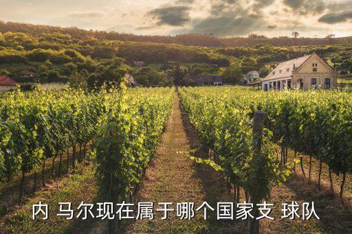 內(nèi)馬爾屬于哪個(gè)球隊(duì),足壇消息:馬爾加盟巴西國(guó)家男子足球隊(duì)