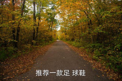 推薦一款足 球鞋