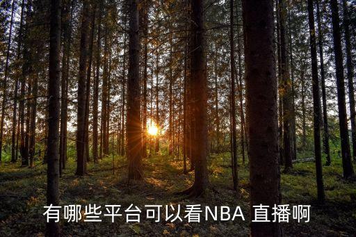 有哪些平臺(tái)可以看NBA 直播啊