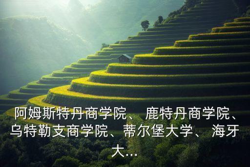 阿姆斯特丹商學院、 鹿特丹商學院、烏特勒支商學院、蒂爾堡大學、 海牙大...
