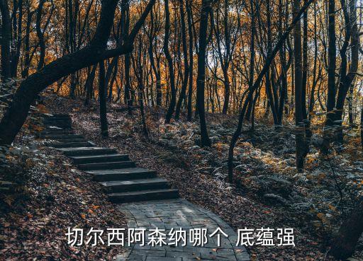切爾西阿森納哪個(gè) 底蘊(yùn)強(qiáng)