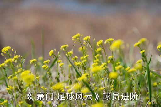 《 豪門 足球風(fēng)云》球員進階