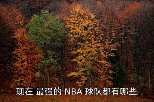 NBA哪個球隊戰(zhàn)術(shù)最強,nba全球最強球隊湖人東部第一