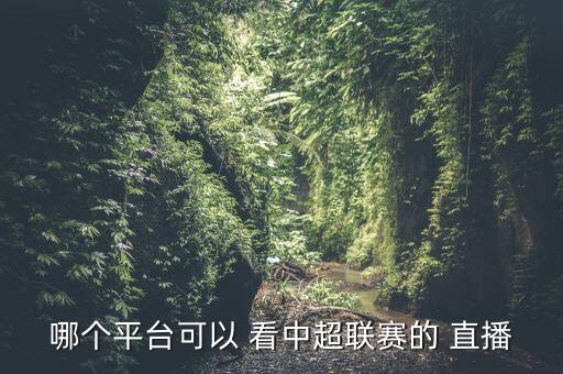哪個平臺可以 看中超聯(lián)賽的 直播