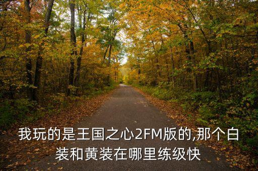 我玩的是王國之心2FM版的,那個(gè)白裝和黃裝在哪里練級快