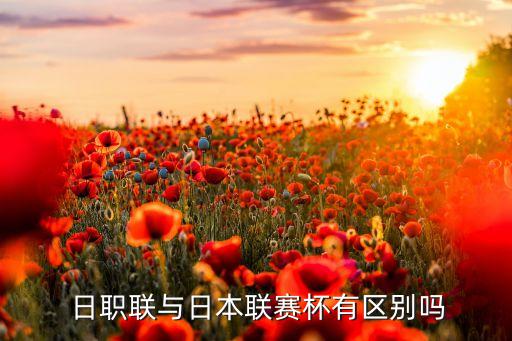 日職連哪個球隊最厲害,德國四支隊伍球隊參加日本聯(lián)賽杯淘汰賽
