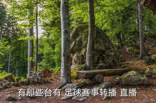 哪個臺足球直播,國足今晚做客加沙直播歐冠
