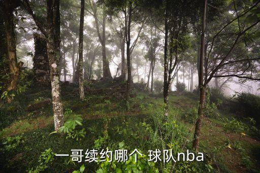 伊戈達(dá)拉在哪個球隊過,伊戈易哥與金州勇士續(xù)約被稱為小詹姆斯